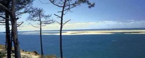 Menu du Bassin d'Arcachon