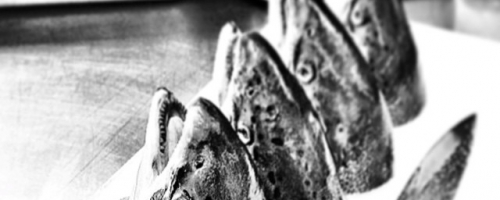 Twisted palate