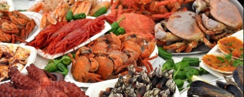 SeaFood Travel