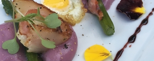 The seafood experience