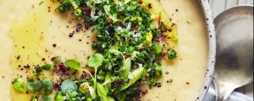 Plant-Based Power