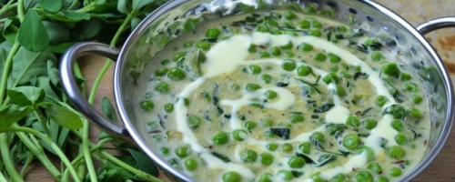 Vegetarian Indian Feast