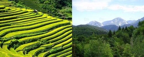 Asie en terre languedocienne