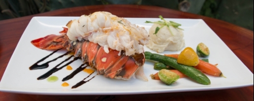 Gourmet Lobster Tail