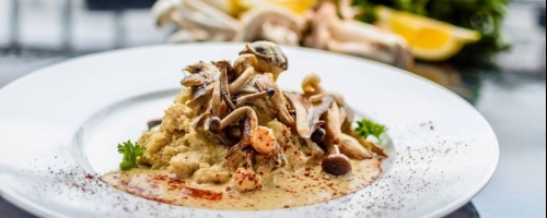 Plant-based Italian