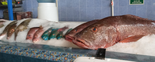 Fish & Sea Food Parade