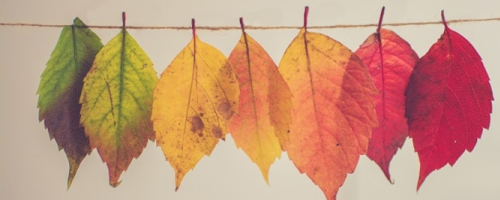 saveur d'automne