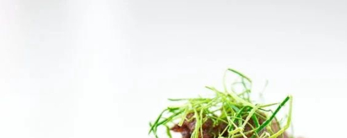 Beef Rendang