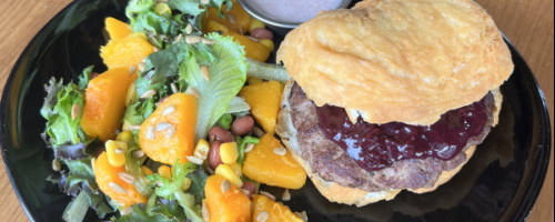 Bison burger with three sister salad