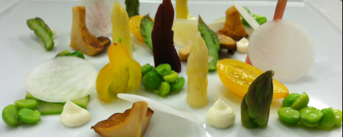 Multi Course Options