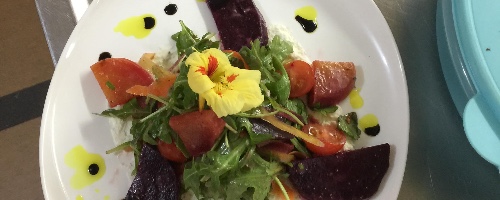 Maple beet and goat cheese salad