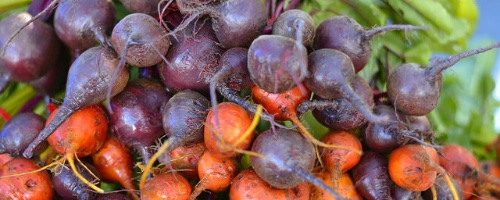 Roasted Beet Salad with Blue Cheese Cream and Pistachio Vina