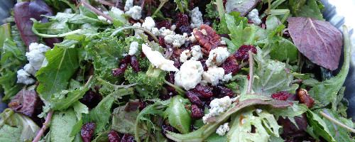 Spring Salad with Blue Cheese, Candied Pecans & Apple