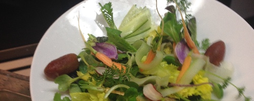 Greens herbs and Lettuce