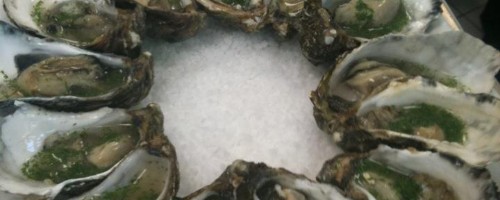 Huitres du bassin d'Arcacahon