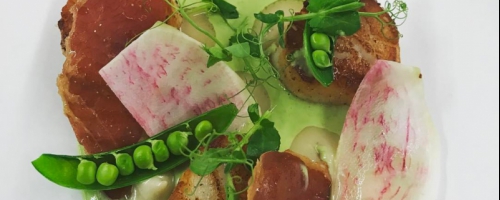 scallops of spring