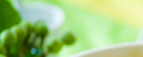 Chicken with Green Curry