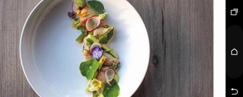 Kingfish ceviche