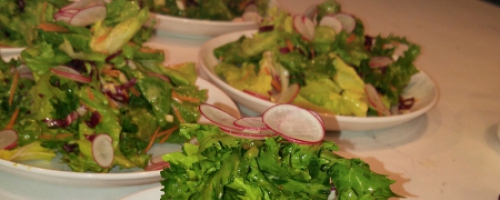 Mixed Organic Chickory Salad