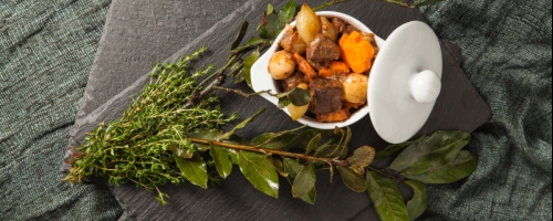 Bœuf- Bourguignon
