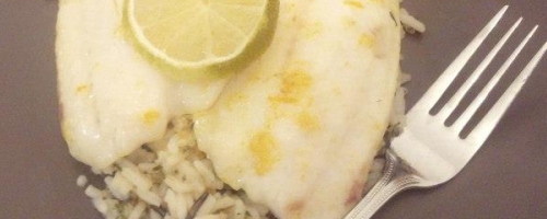 Orange Tilapia