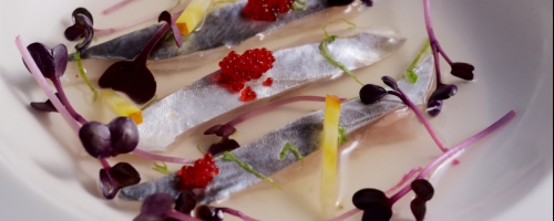 Mackerel