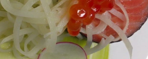 Salmon