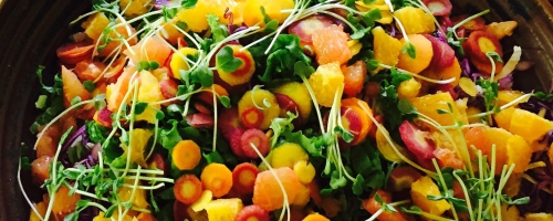 Rainbow Citrus Salad