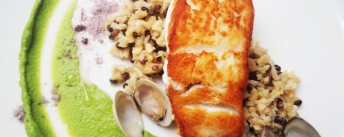 Halibut