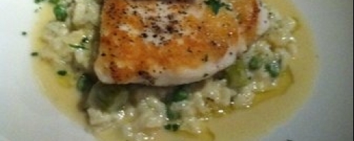 grilled swordfish with leek romano risotto