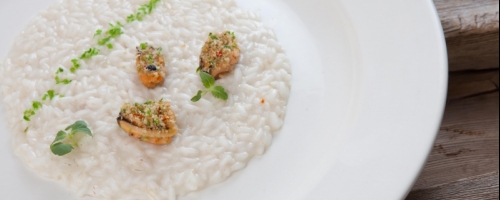 mussels risotto and fresh erbs