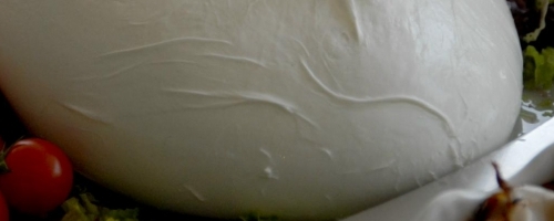 Mozzarella di bufala