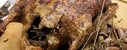 Duck in porchetta