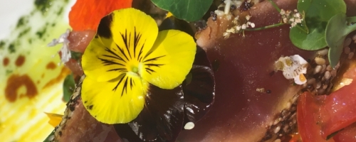 Olituna