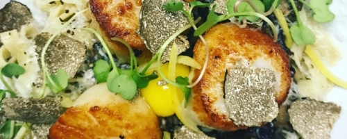 Seared scallops