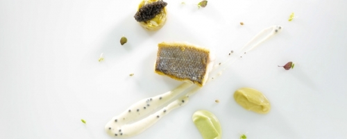 Sea Bass