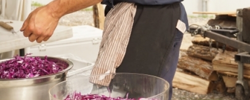 Fermentation