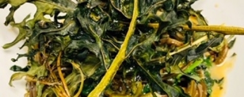 Kelp noodles with fiddlehead ferns, kale, nettle, miso ginge