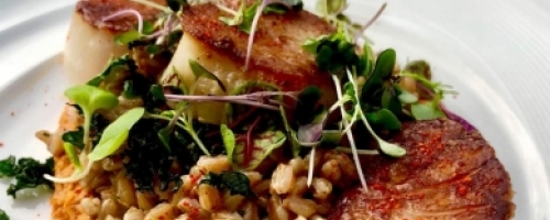 Sea Diver Scallops