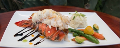 Gourmet Lobster Tail
