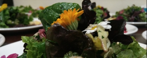 Summer Salad