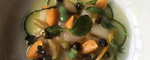 Crudo