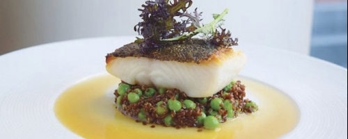 Catch of the day & quinoa