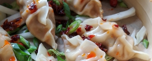 Hand made gyoza