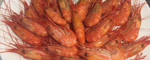 high-end seafood