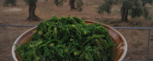 Wakame salad
