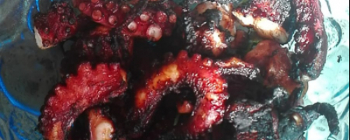 Tentacoli di polipo caramellati