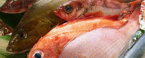 Grigliata mista di pesce fresco