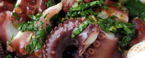 Pulpo caribeño