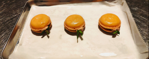 Foie Gras Macarons